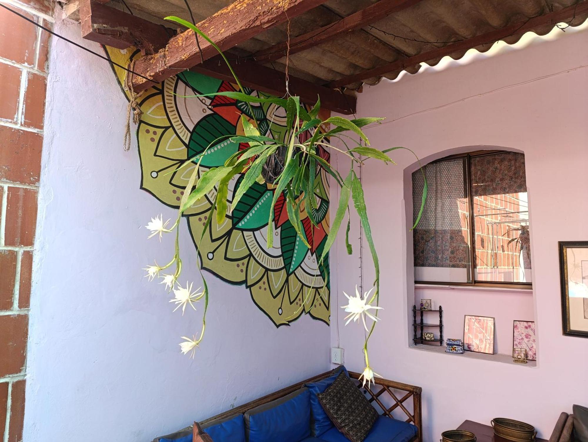 Casa Vieja Guest House Santa Ana Ngoại thất bức ảnh